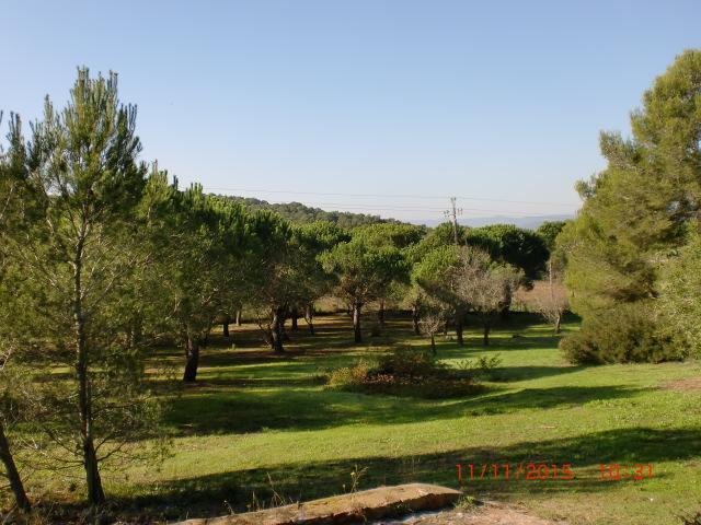 Puig Gros Hotel Montras ภายนอก รูปภาพ