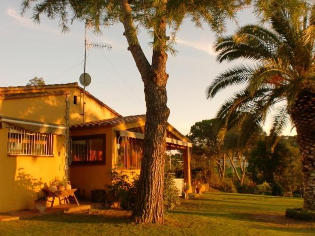 Puig Gros Hotel Montras ภายนอก รูปภาพ